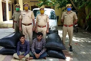 अवैध डोडा पोस्त बरामद, illegal doda poppy recovered