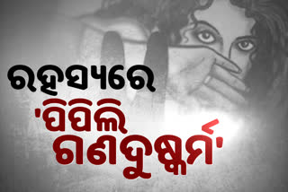 Pipili rape murder case: false allegations of Rape, says culprit Laywer