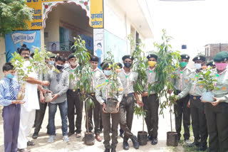 Forest Festival celebrated in Jaipur, पर्यावरण संरक्षण का दिया संदेश