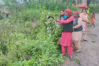 Shiva Mahila Mandal Dehri