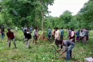 protest in kamalapuram to demand distribution land documents in west godavari district