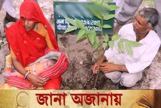 111 trees were planted on a girl born