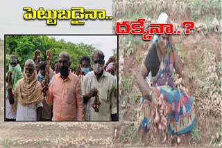 onion farmers strugles in jogulamba gadwal district