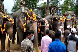 world-elephant-day-celebrated-at-ramkola-elephant-rescue-center-in-surajpur