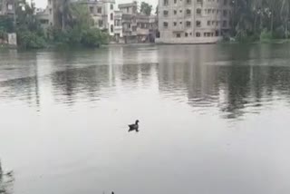 ছবি