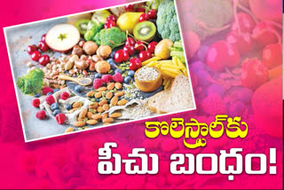 benefits of Fiber food in telugu