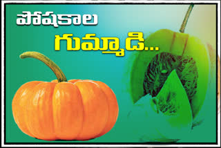 benefits of Pumpkins in telugu