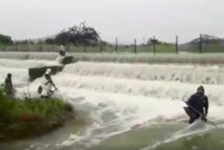 full of water in all ponds at jayashanker bhupalapalli