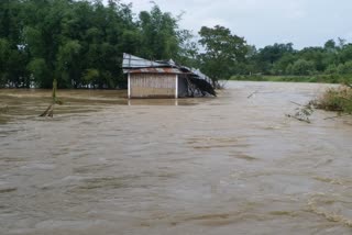 Flood situation improves in Assam : no human lives lost in last 4 days ഗുവാഹത്തി അസം അസം വെള്ളപ്പൊക്കം Flood situation improves in Assam Flood Assam Flood