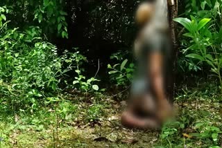 dead-body-found-in-sagar-yalagalale-forest