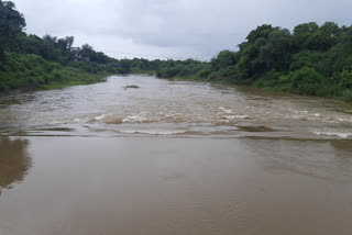 Low level bridge