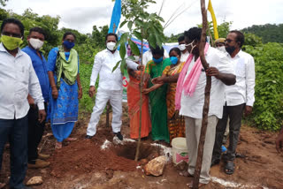 bhadradri kothagudem zp chairman participated in harithaharam programme