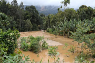 Crop damage Idukki  കൃഷിനാശം ഇടുക്കി  ഇടുക്കി കനത്ത മഴ  കൃഷിനാശം കേരളം