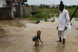 46.6 mm of rainfall in Gadchiroli district;