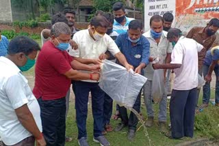 guppies release to kill dengue mosquitoes in Malda