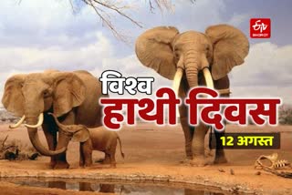 World Elephant Day 2020