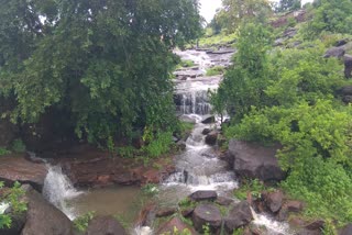 Tourists arriving in Narsingarh in Rajgarh after rain