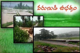 heavy rain in east and west godavari agencies crops damaged