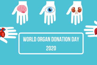 save life, donate organ, world donation day