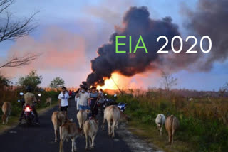 EIA 2020