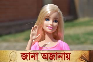 Find out the true identity of Barbie