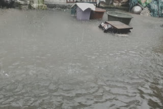 Due to incessant rains, people face problems