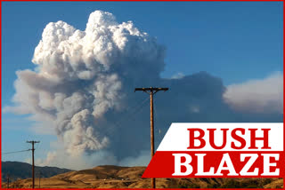 Large brush fire