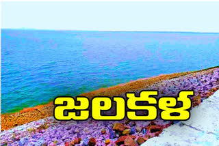 more flood water flowing through rajarajeshwara reservoir