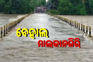 continuous-rainfall-in-malkangiri-many-areas-were-cut-off-from-the-state