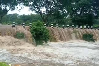 Reduced rainfall in Maharashtra: Krishna River inflow crosses 98,000 cusecs