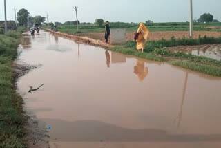 People troubled by water logging, धौलपुर-बसई नवाब सड़क मार्ग