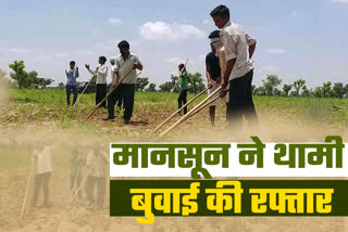 Sowing of Kharif crop in Nagaur,  Monsoon in Rajasthan