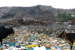 Bhalswa landfill site collapsed due to rain