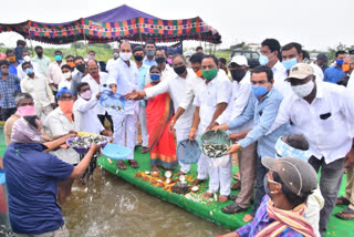 సంఘాల చెరువులో చేపపిల్లలను వదిలిన ఎమ్మెల్యే