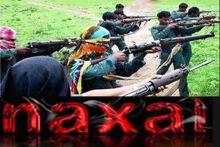 Naxals kill tribal