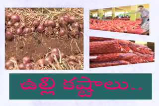 onion rates have been decreased due to corona in kurnool market