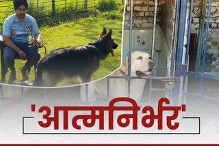 after rejection in job engineer taranjeet doing successfully dog business in kurukshetra