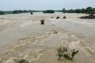 heavy water flow in munneru stream in mahabubabad district