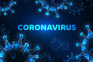 coronavirus in himachal