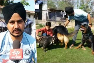 after rejection in job engineer taranjeet doing successfully dog business in kurukshetra