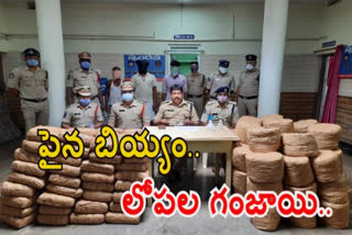 Cannabis caught police in bhogapurm vizianagram district