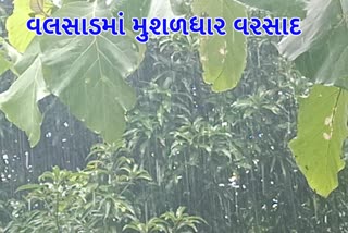 valsad