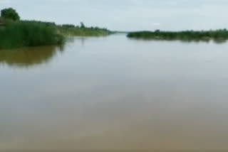 godavari water flow in east godavari