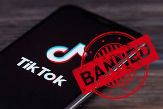 TikTok and its employees prepare to fight Trump over app ban