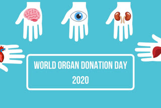 world organ donation day