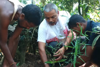 খুমটাই