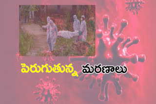 corona deaths raises in west godavari district