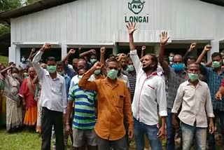 Protest against the transfer order of Longai Tea Estate manager