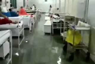 SMS Hospital Water, Jaipur Rain News