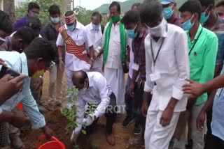 வீட்டுக்கு வீடு மரம் வளர்க்கும் திட்டம்: திருப்பத்தூர் மாவட்ட ஆட்சியர் தொடக்கி வைப்பு...!